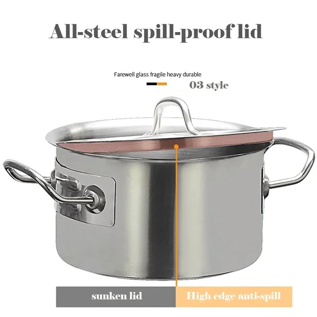 Stainless Steel Multipurpose Pot