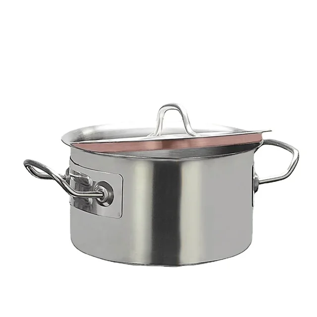 Stainless Steel Multipurpose Pot