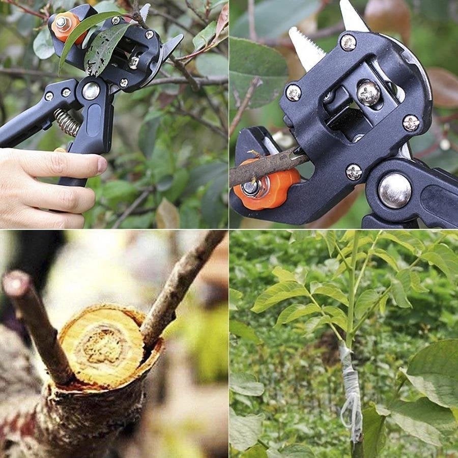Herramienta de corte de injerto profesional de jardín