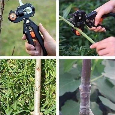 Herramienta de corte de injerto profesional de jardín