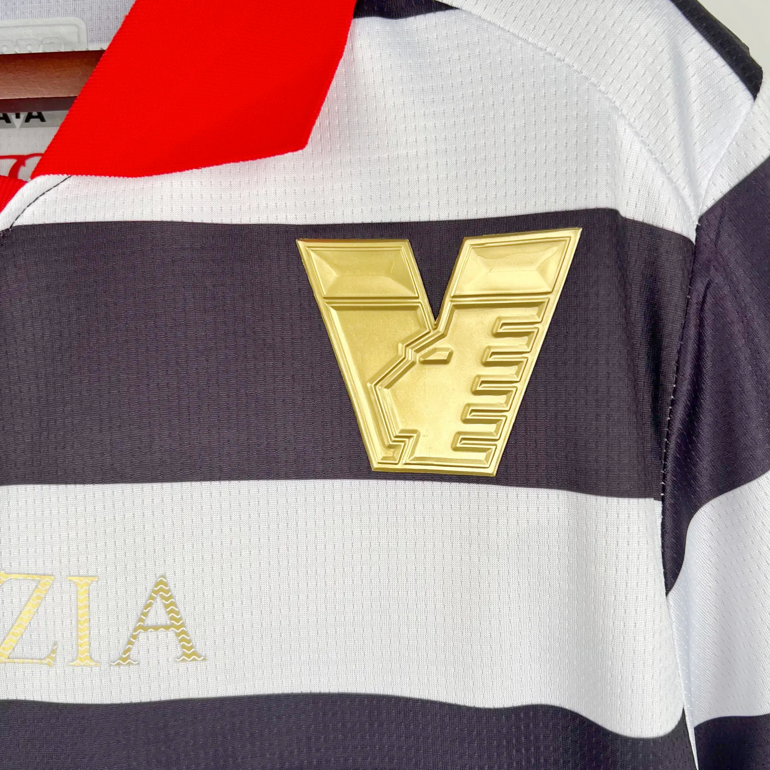 Venezia 23-24 Third Jersey - Fans Version