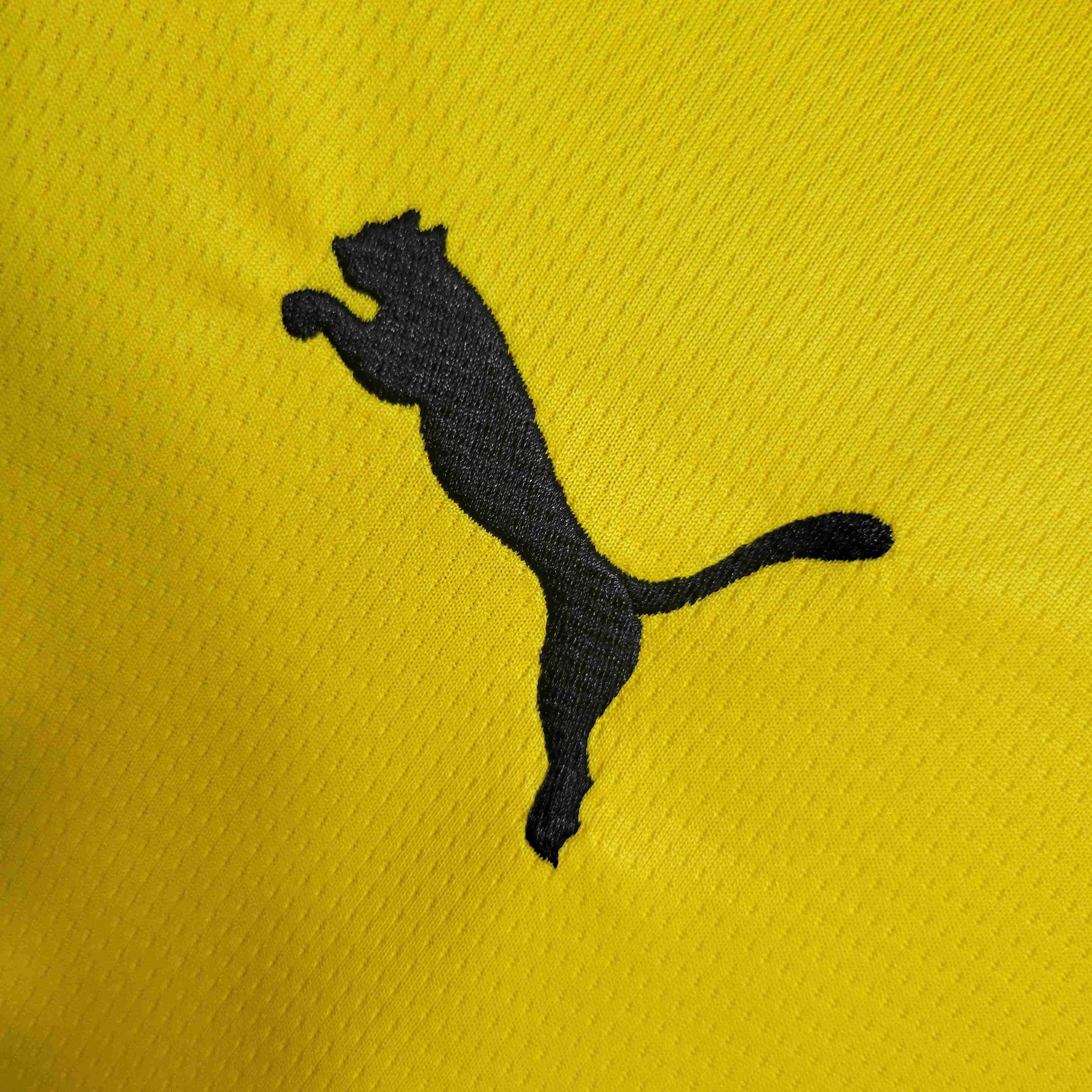 Lens 23-24 Home Stadium Jersey - Fans Version