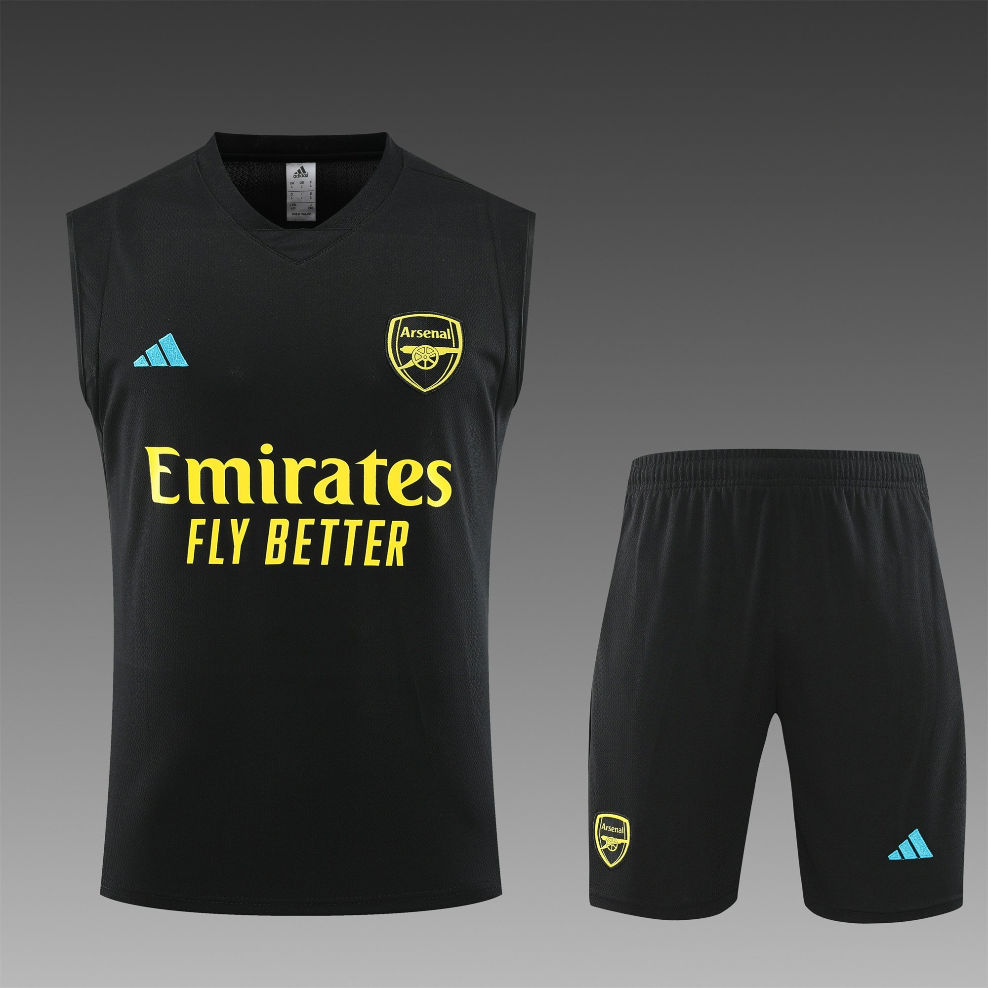 Arsenal 23-24 Player Vest Training Set Black