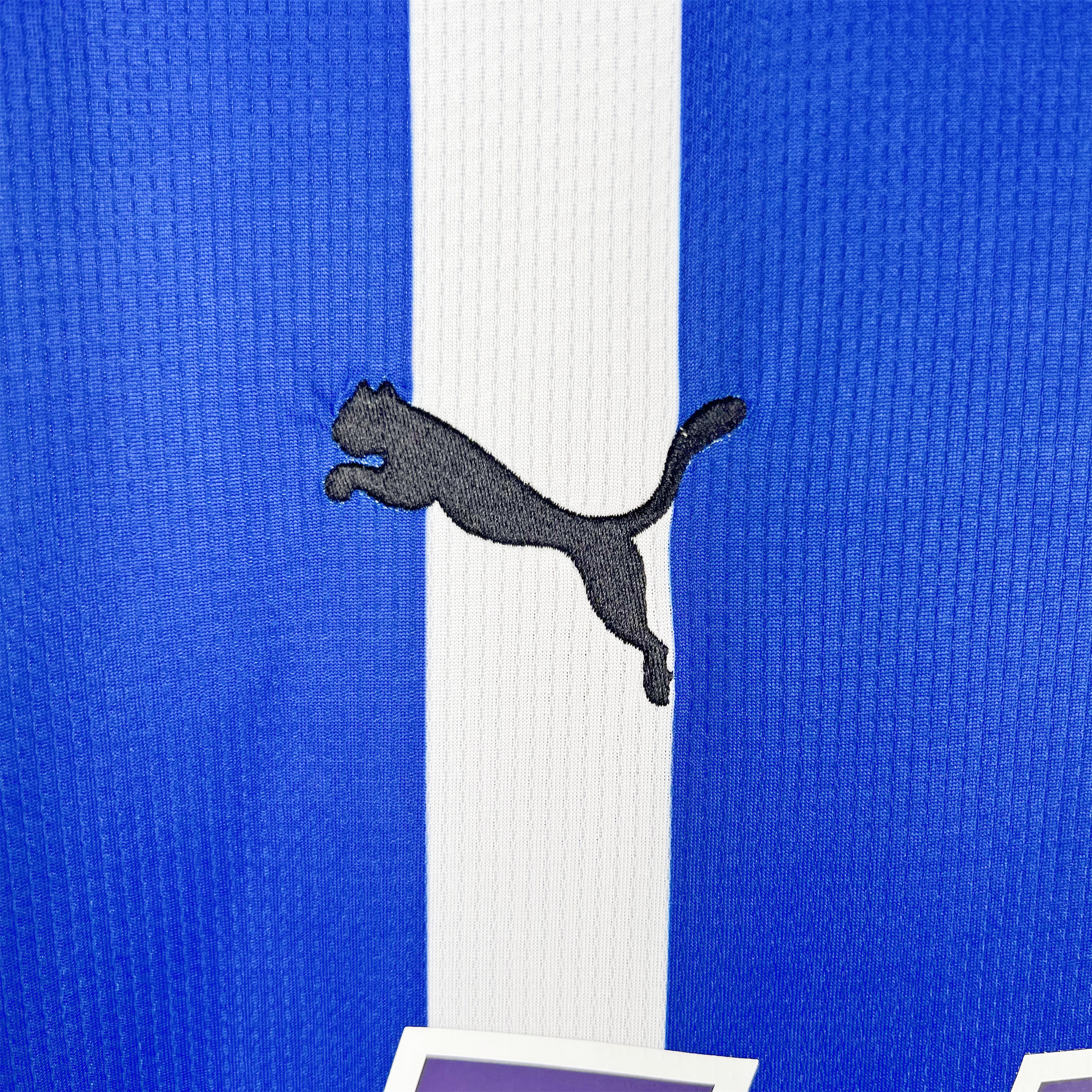 Deportivo Alavés 23-24 Home Stadium Jersey - Fans Version