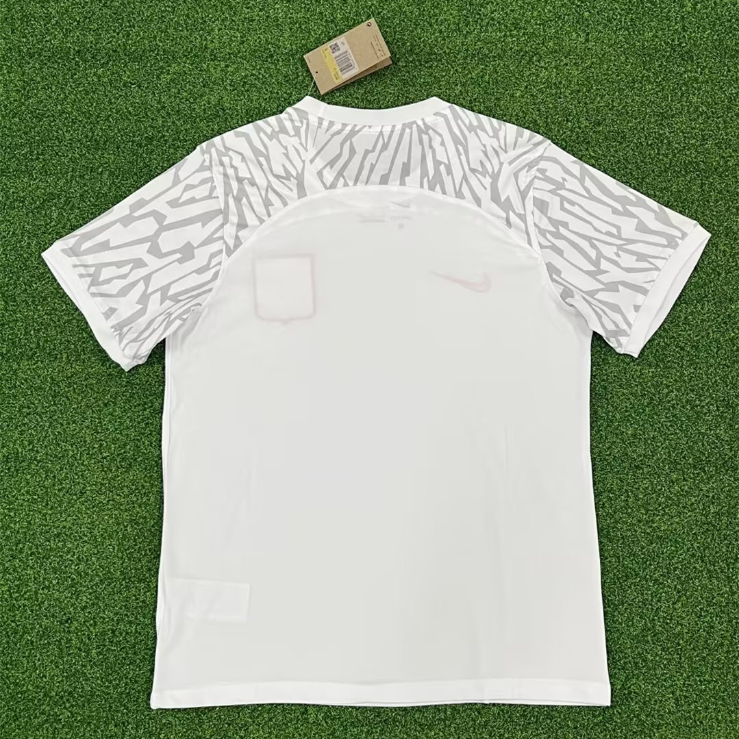 Poland 22-23 Away Stadium Jersey - Fans Version