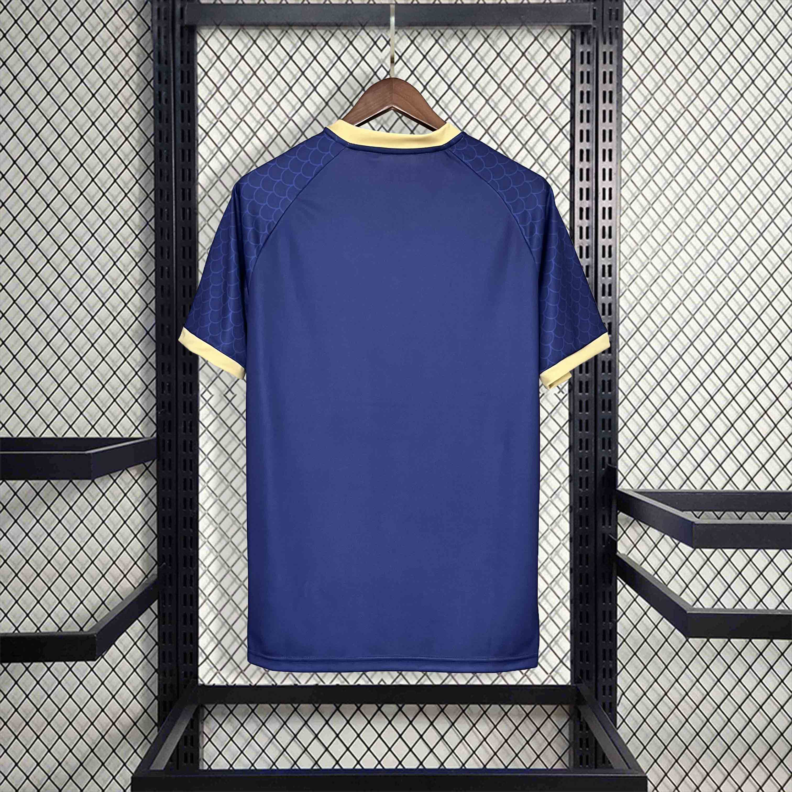 Japan 2024 Blue Dragon Special Edition Jersey - Fans Version