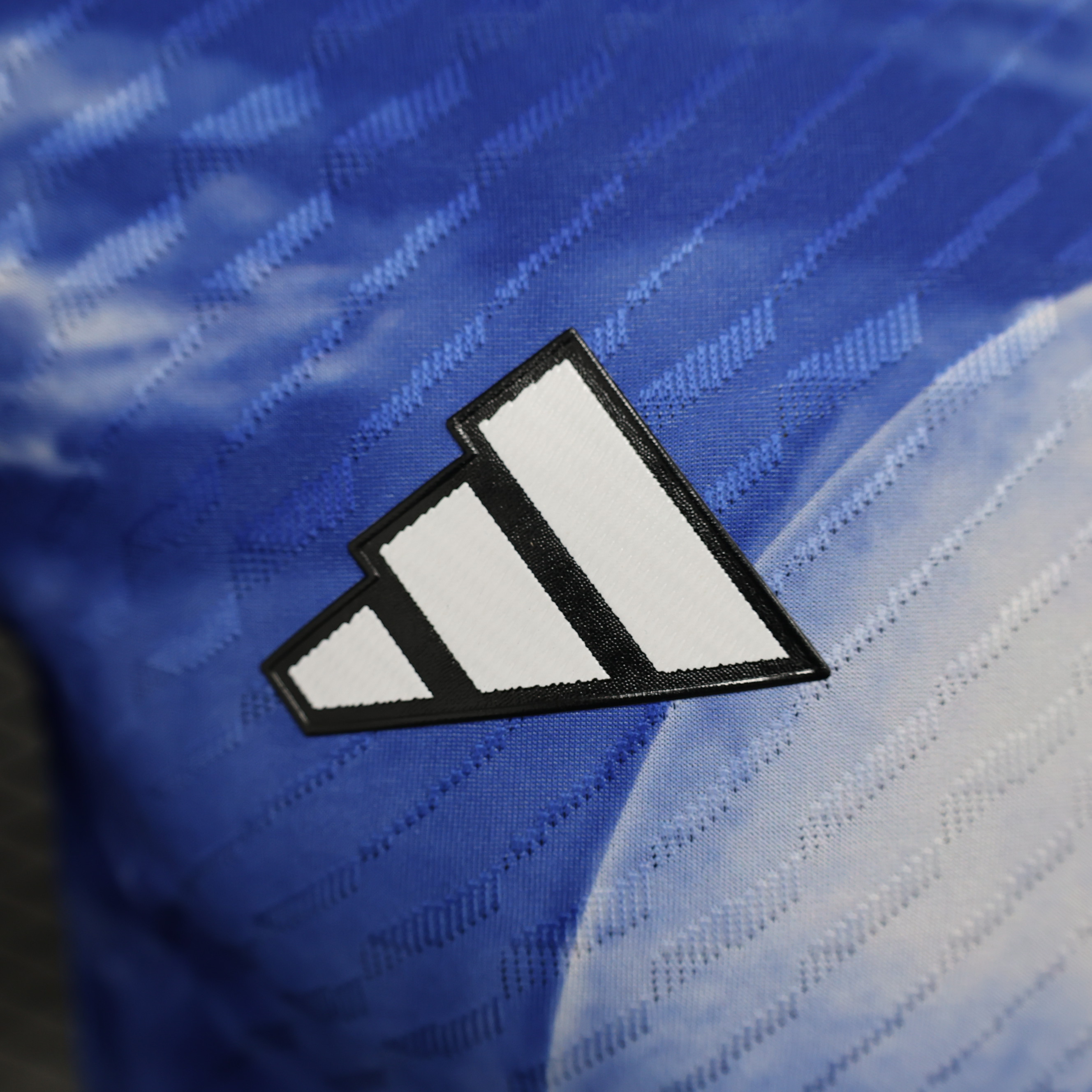 Japan 23-24 Fujiyama Special Edition Jersey - Player Version